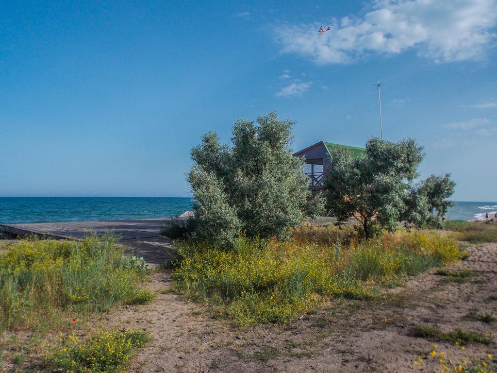 Akunamatata - Мини Отель Zatoka Bagian luar foto